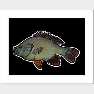 Blue Gill Posters and Art